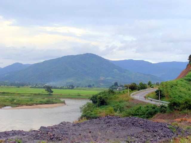 DSC03452_resize.JPG