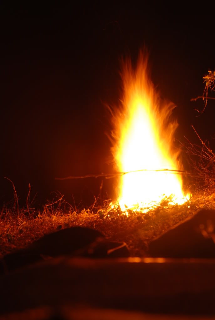 DSC_2969.jpg