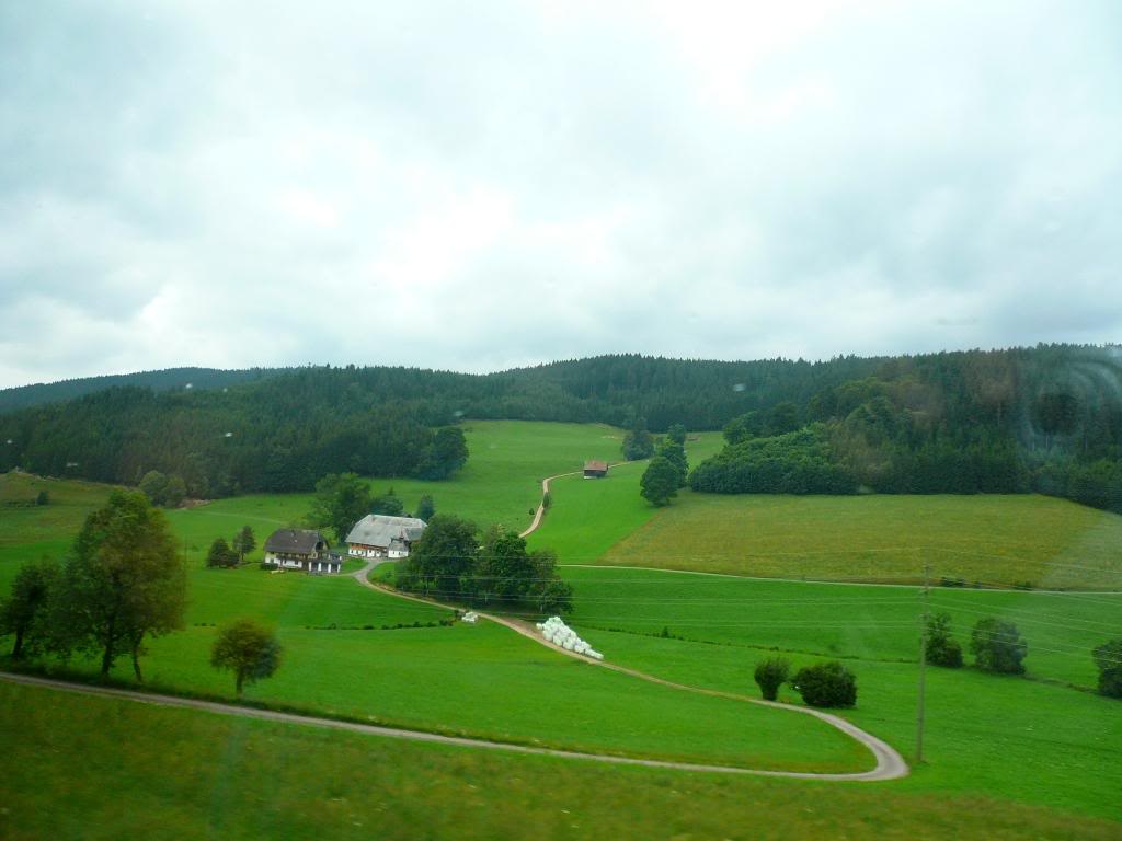 P1020200.jpg