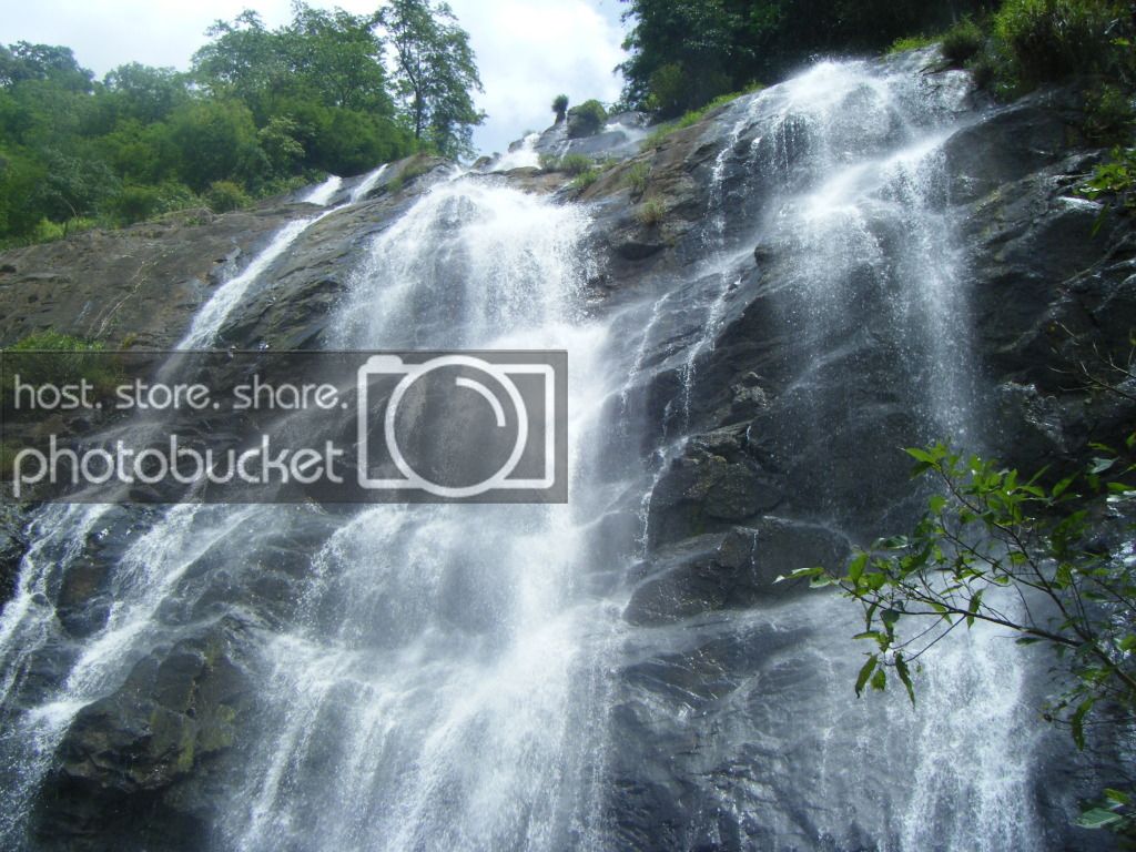 DSCF9381.jpg