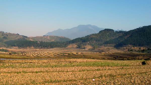 HongNgai2011089.jpg