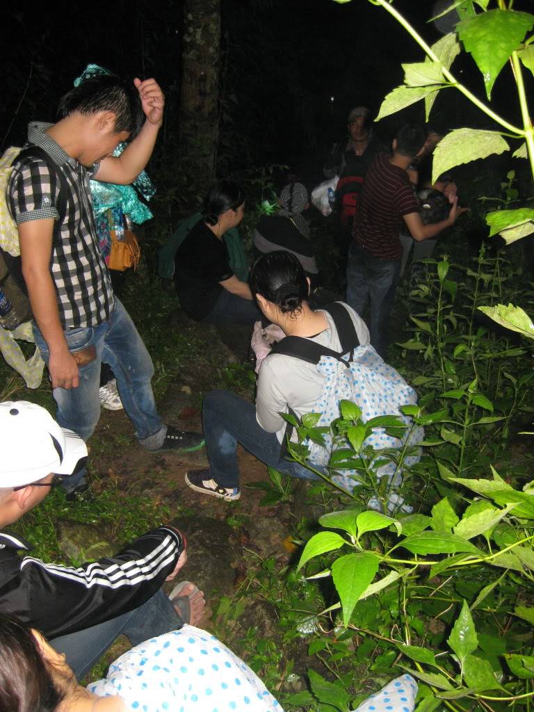 IMG_7467.jpg