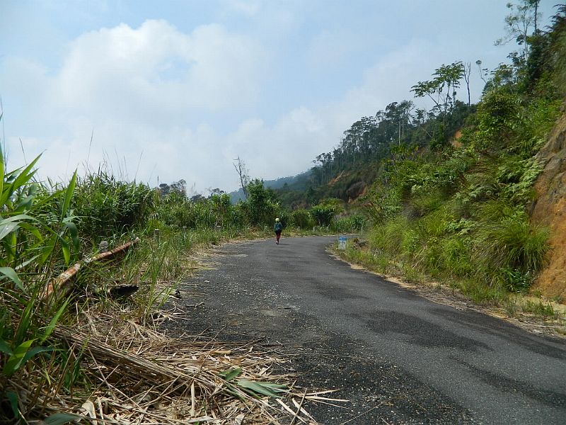 DSCN2603.jpg