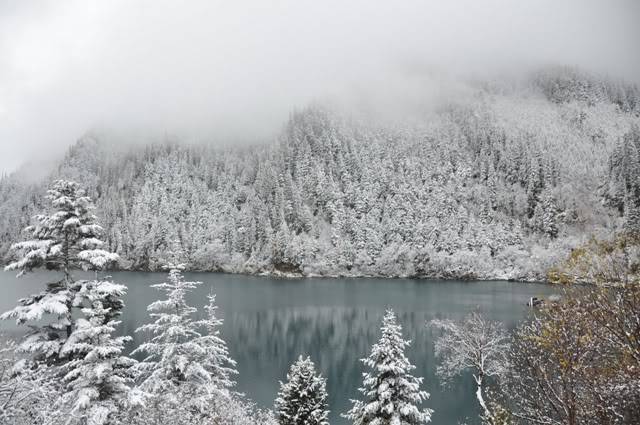 DSC_0619.jpg