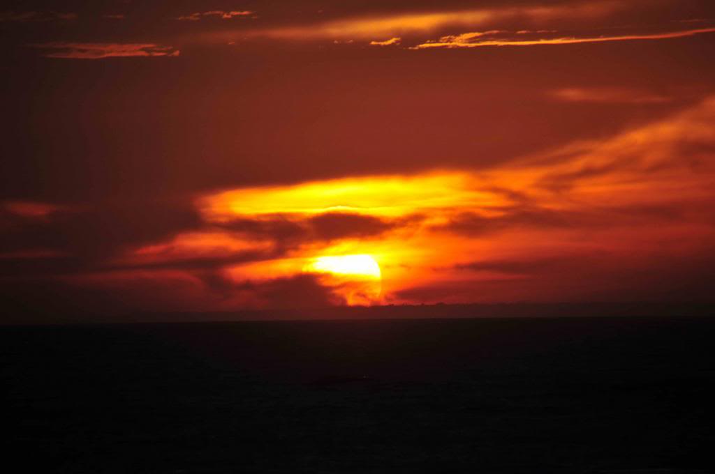 DSC_1679_zps9a5616ec.jpg