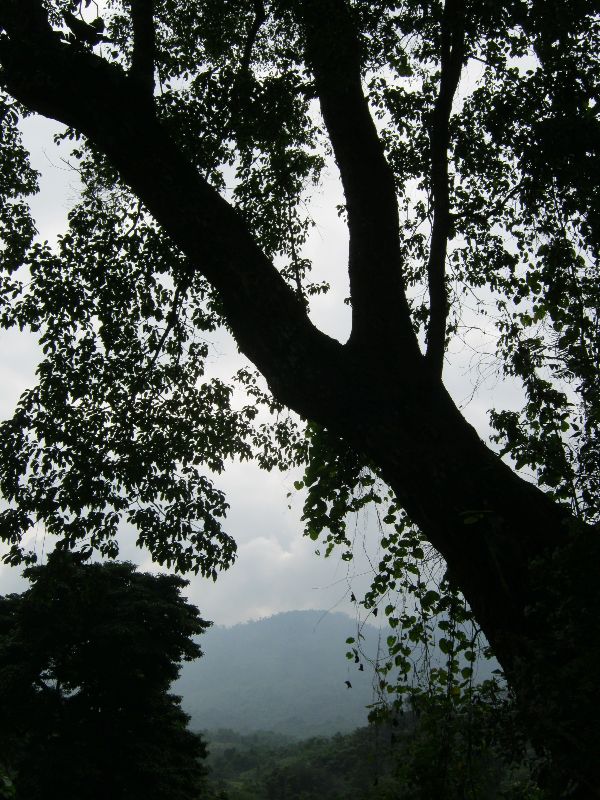IMG_1947.jpg
