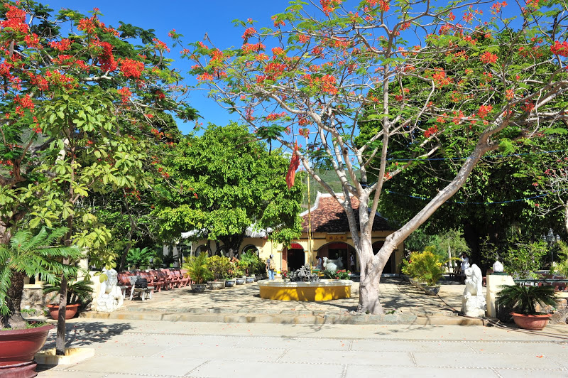 DSC_5728.JPG