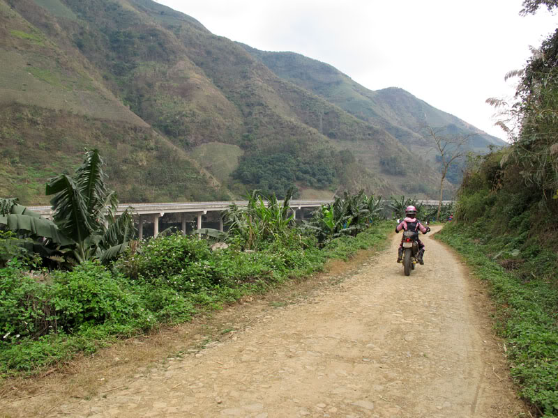 HongNgai2011805.jpg