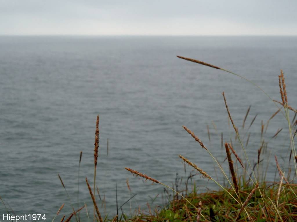 SAM_0201-1.jpg