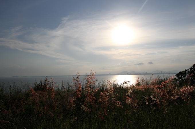 IMG_0563_resize_zpsc5829ade.jpg
