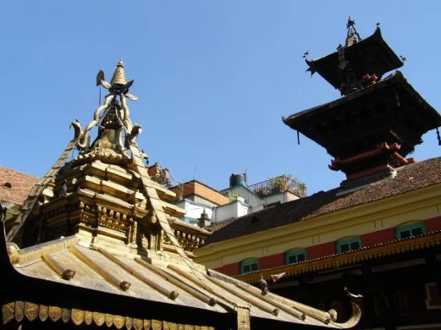 PA290140.jpg