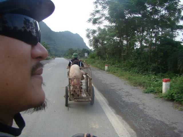 DSC00062.jpg