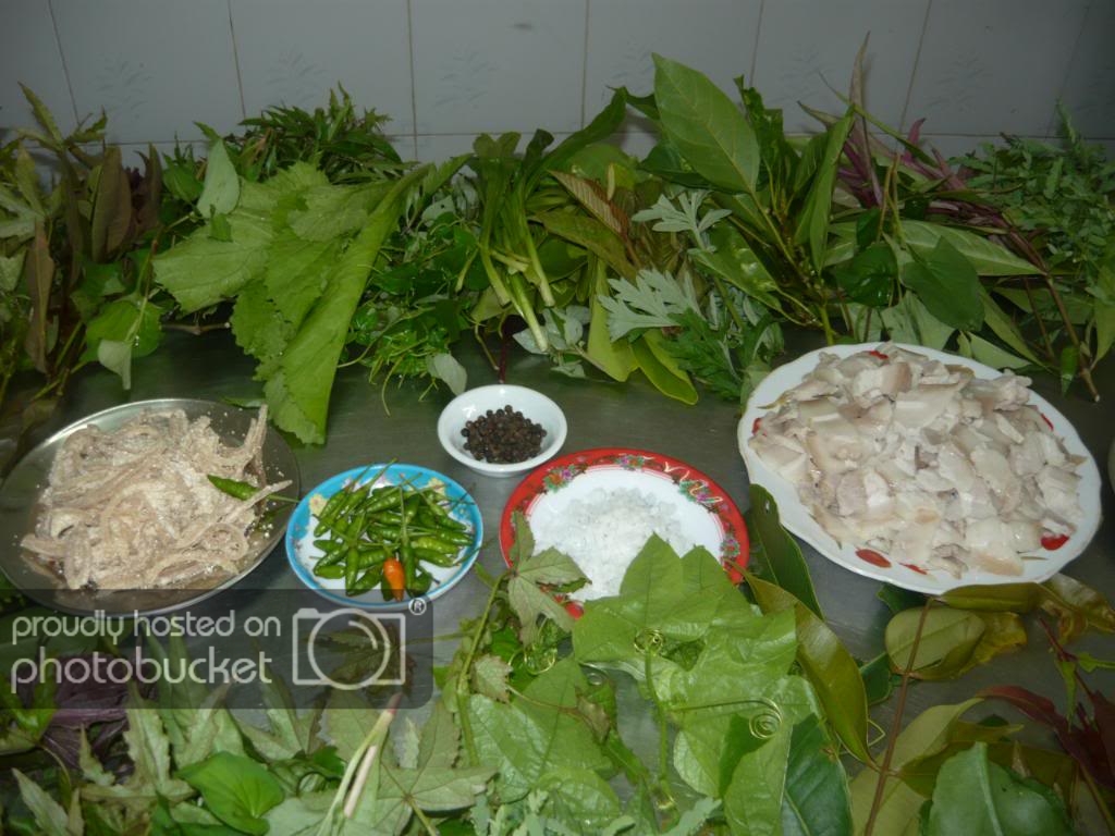 P1110835.jpg