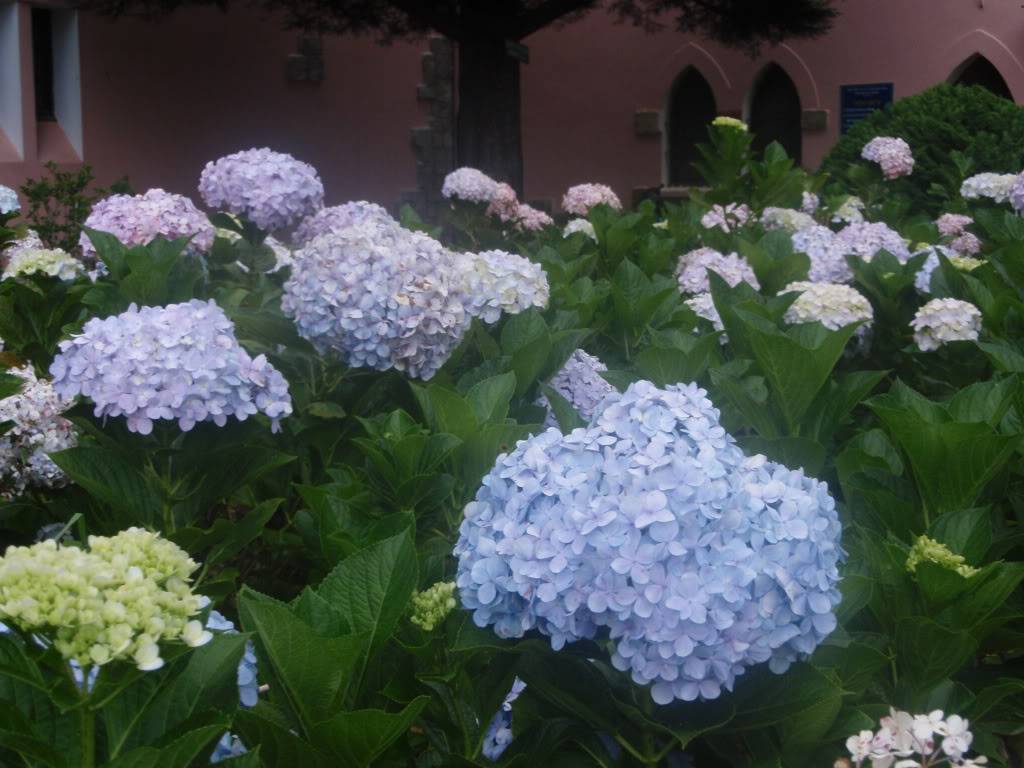 P1014308.jpg