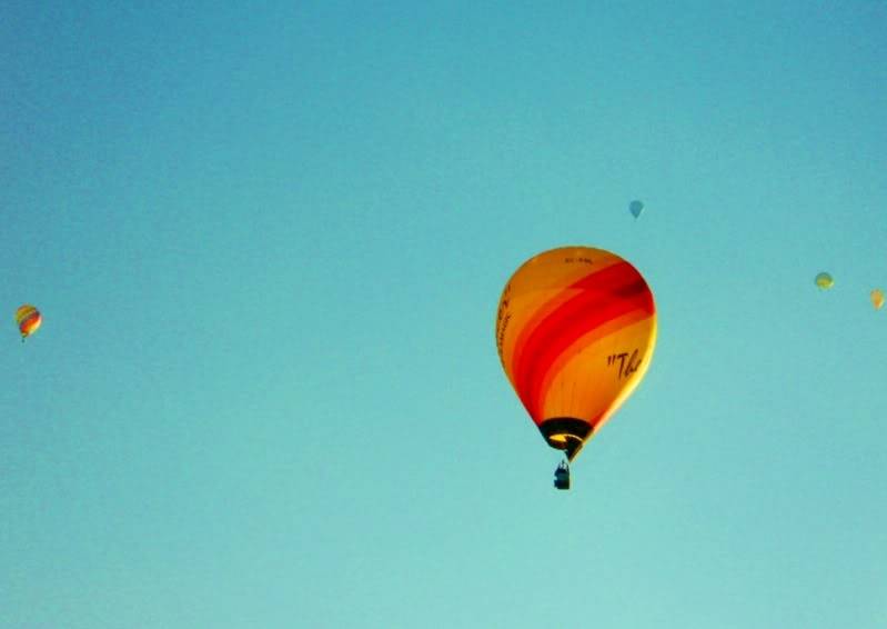 DSCN0839.jpg