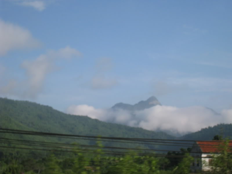 IMG_1784.jpg