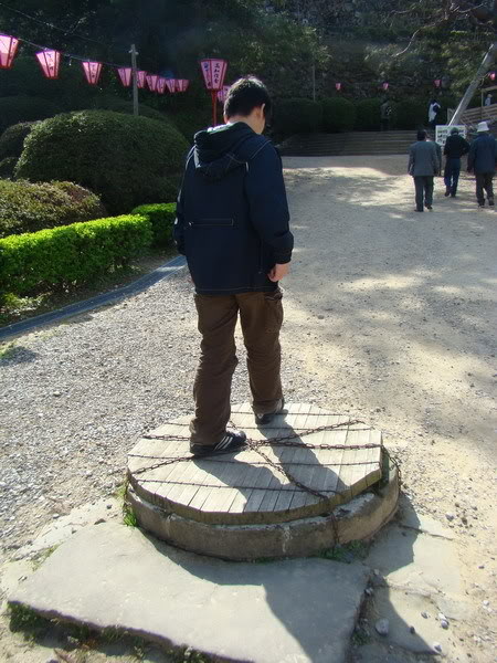 DSC02622_resize.jpg