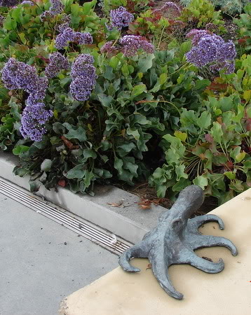 DSC02957.jpg