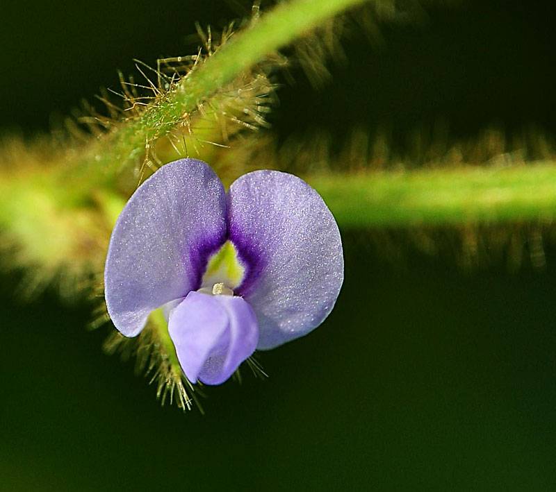Close-up_zpsb21c79c0.jpg