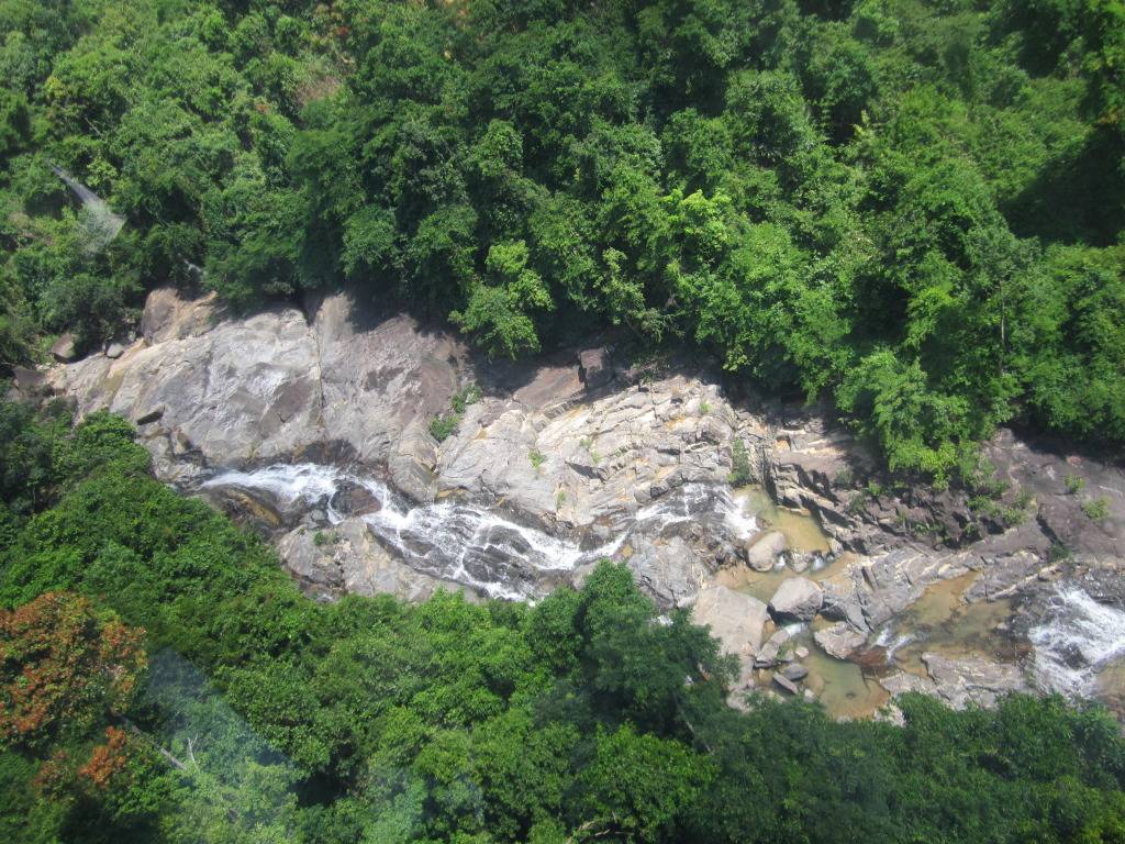 IMG_2767.jpg