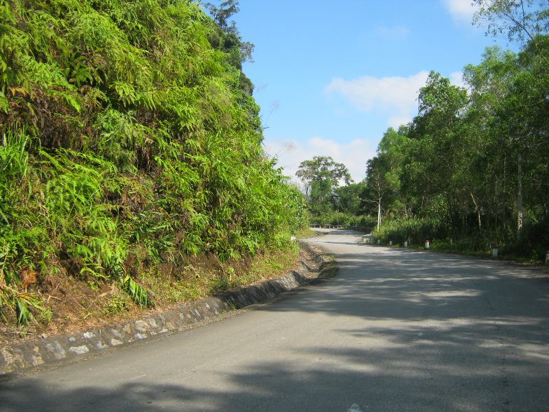 IMG_1429.jpg