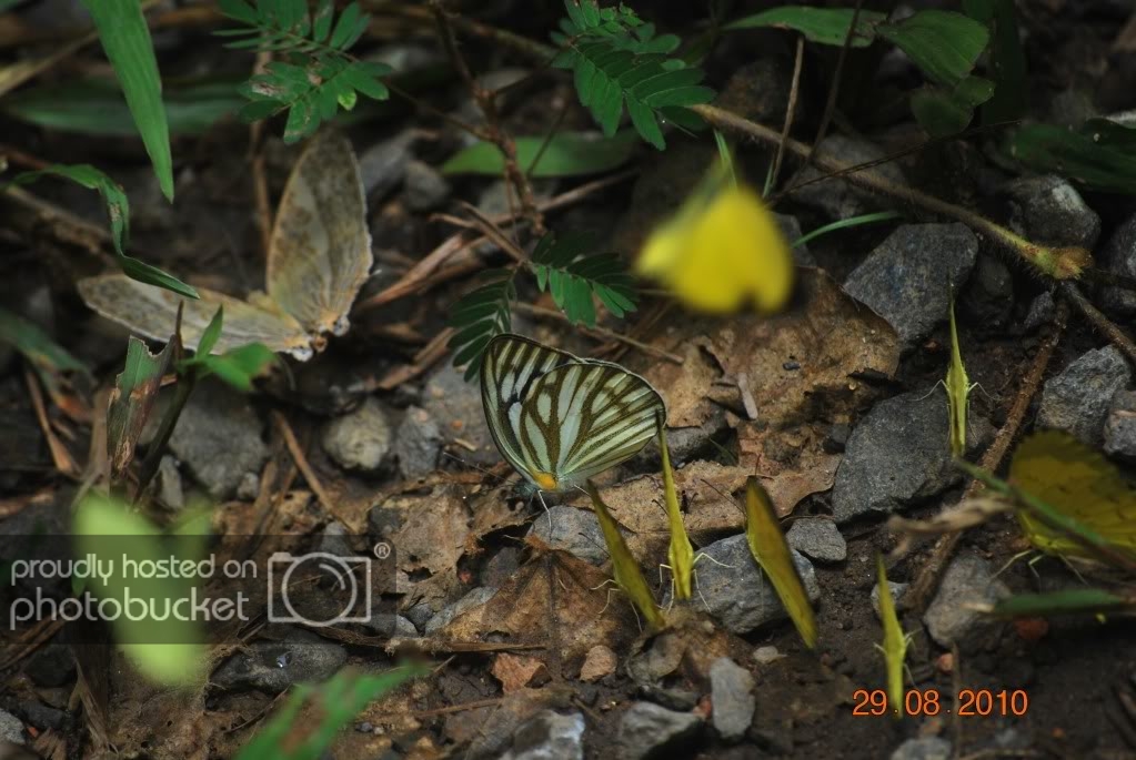 DSC_1566.jpg