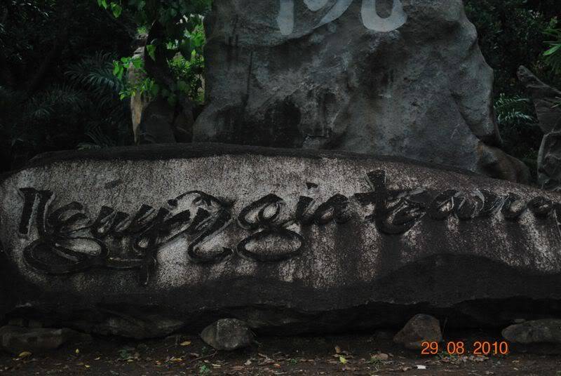 DSC_1687.jpg