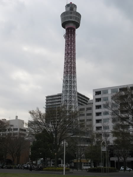 IMG_2127_resize.jpg