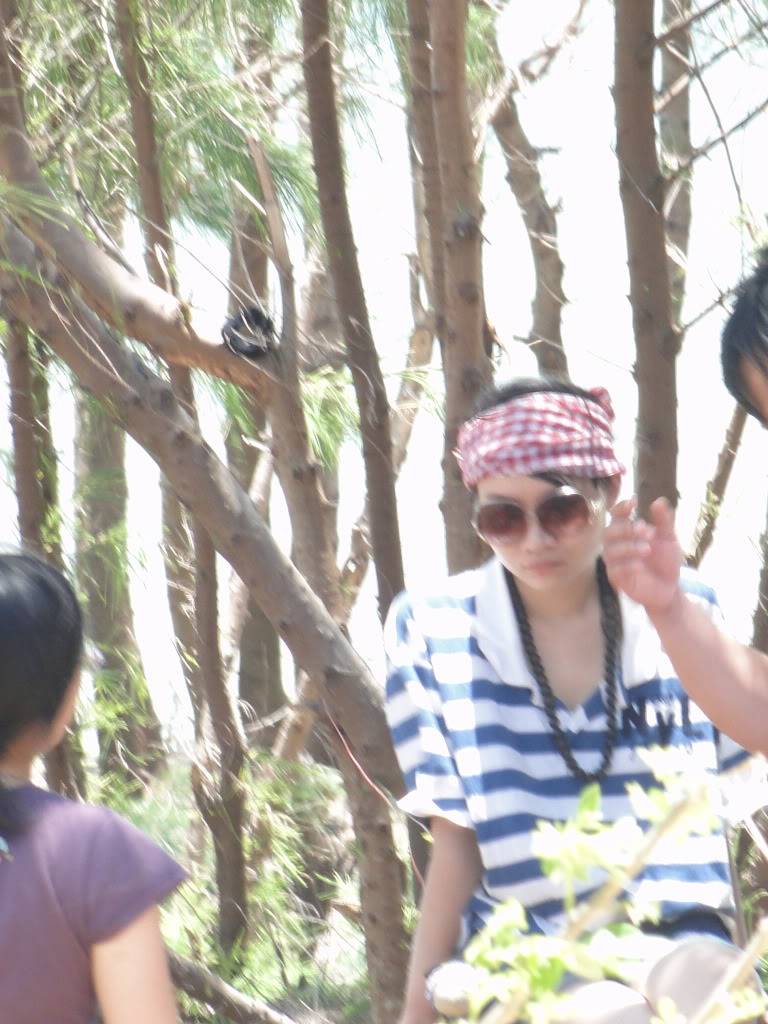 DSC04542.jpg