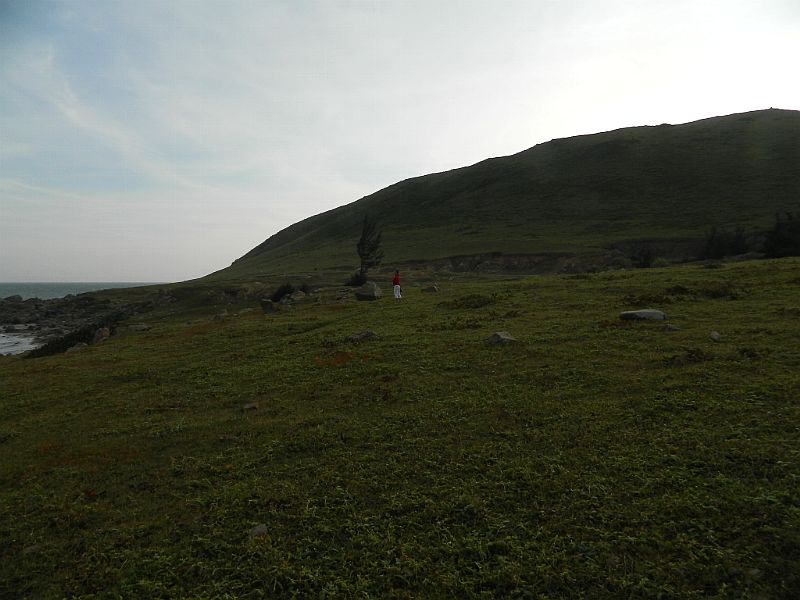 DSCN4517_345.jpg