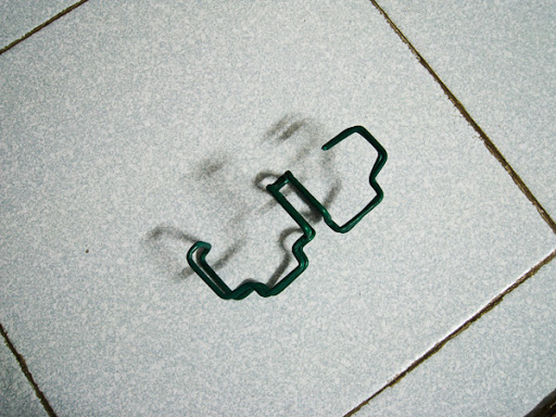 IMG_3950.jpg