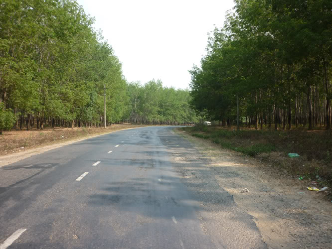 P1060334.jpg