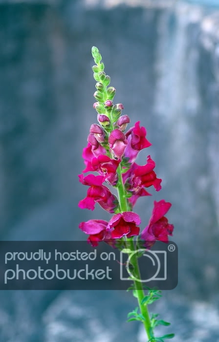 DSC_5344_resize.jpg