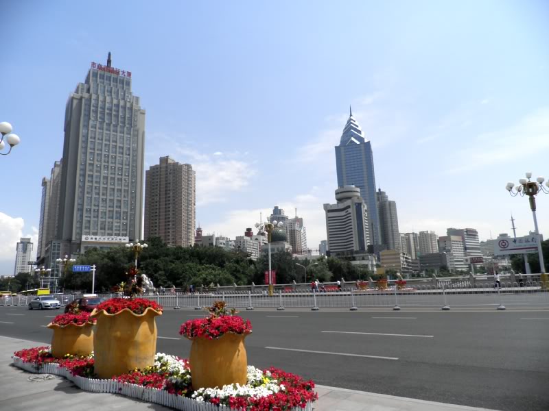 P7050843.jpg