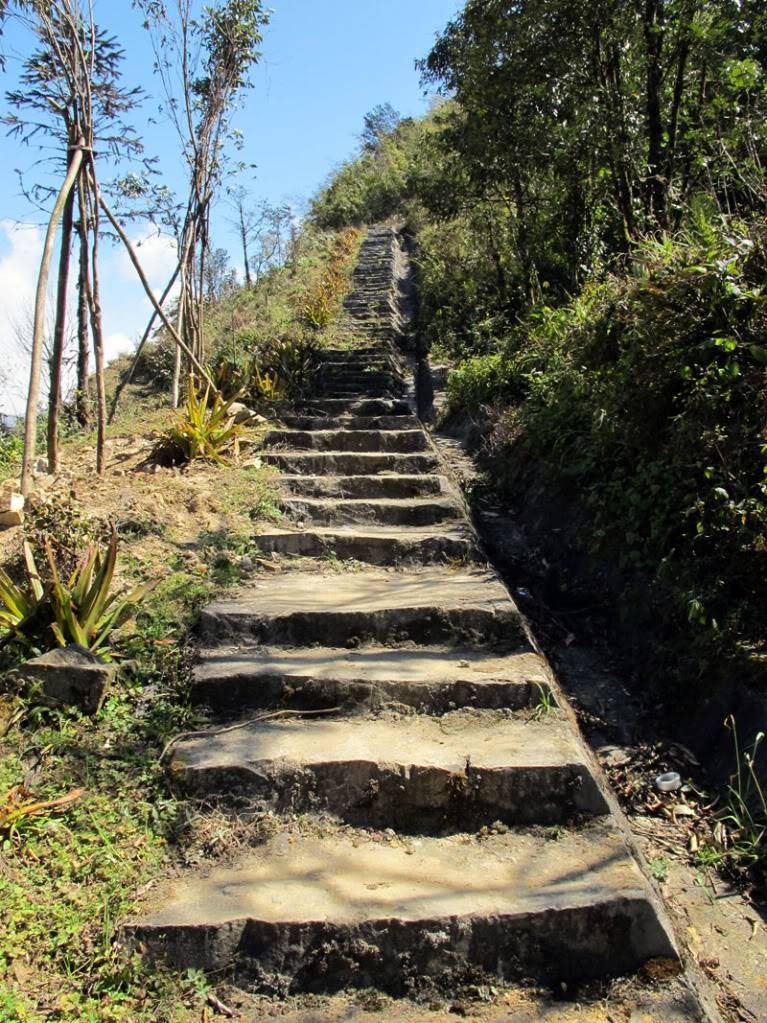 HongNgai2011160.jpg