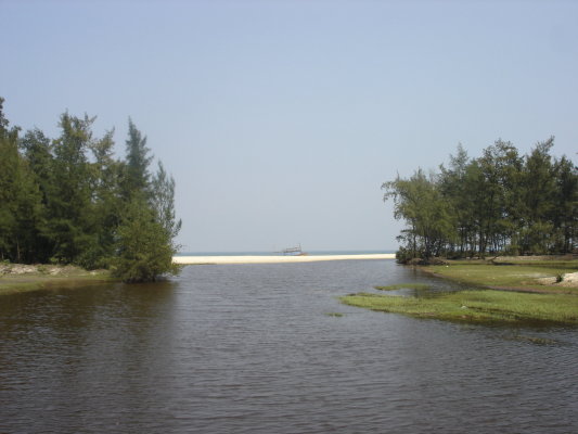 355442740.jpg