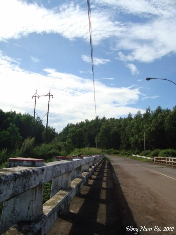 15c4c019.jpg
