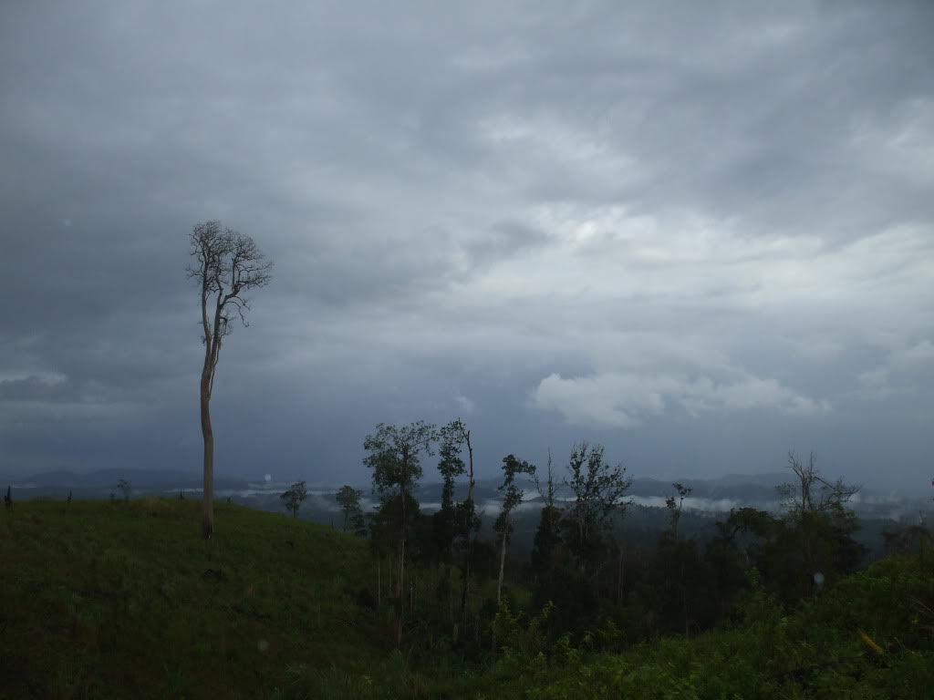 DSCF3078.jpg