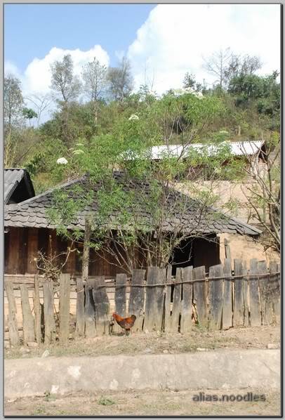 Lao_2009_6_0107.jpg