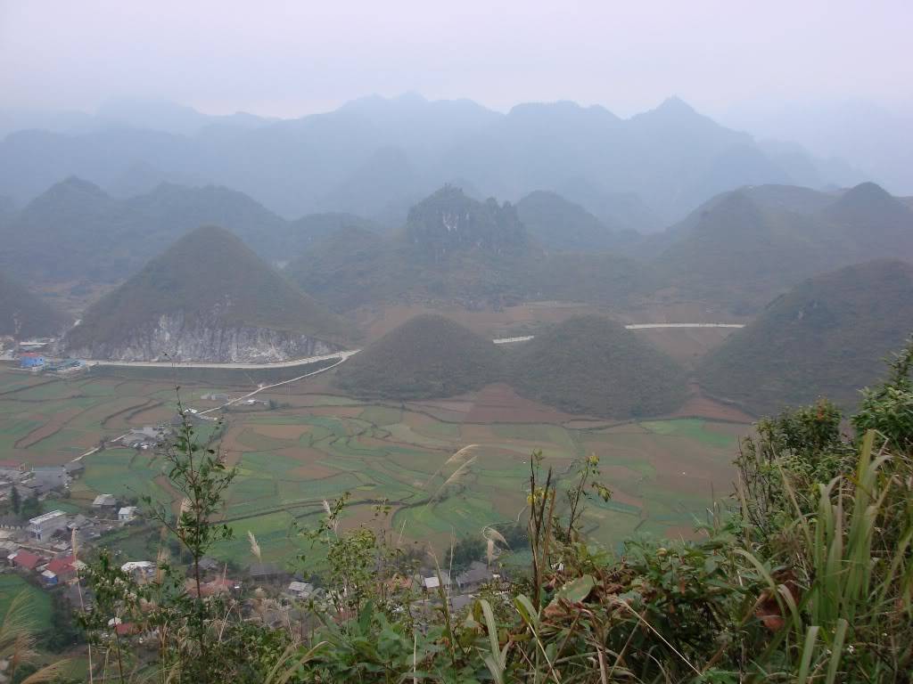 DSC09558.jpg