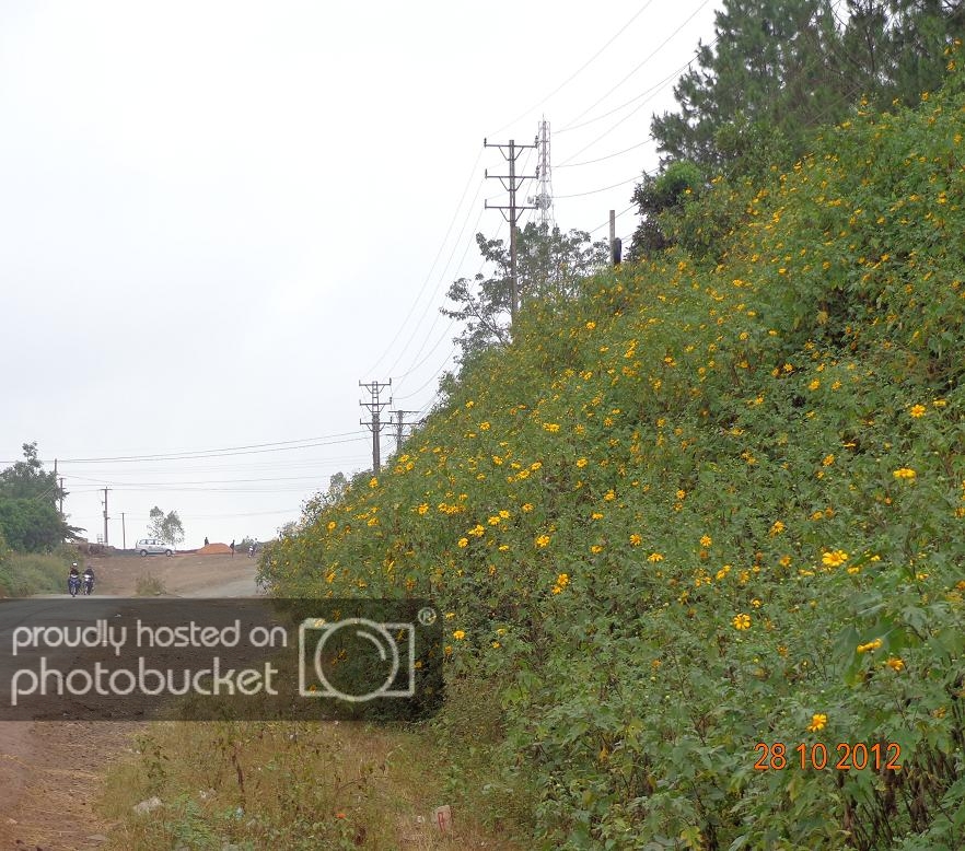 DSC00748R.jpg