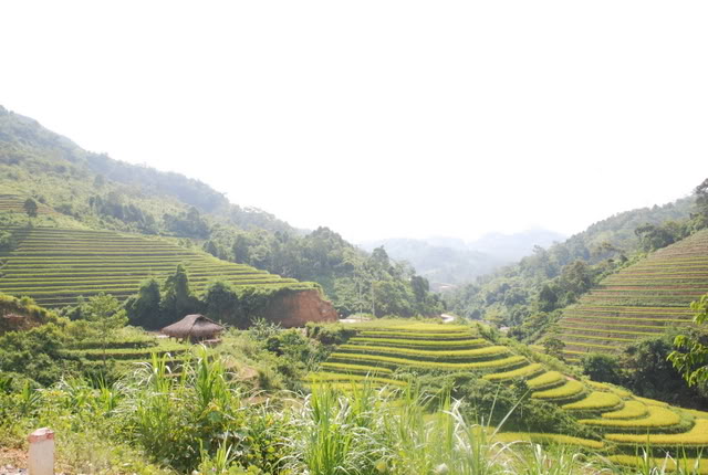 DSC_0167.jpg