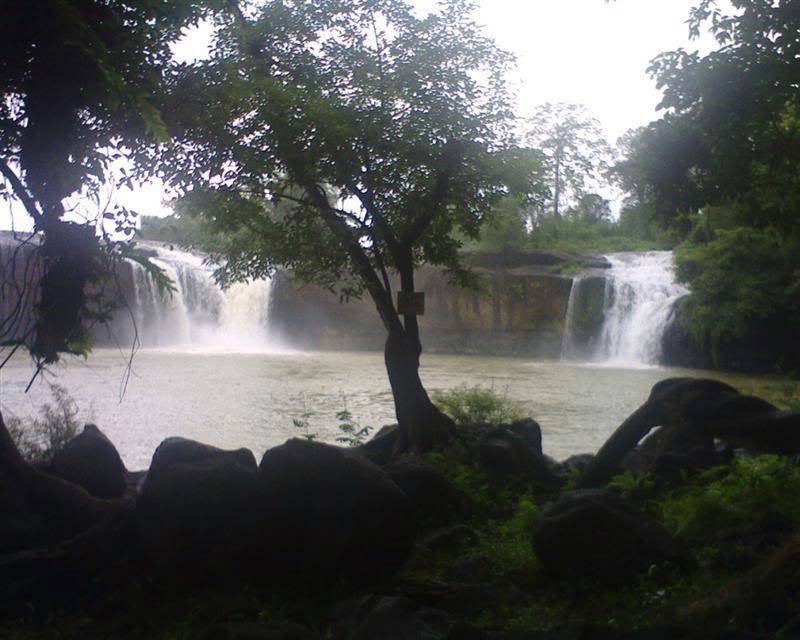 BIMG0204.jpg
