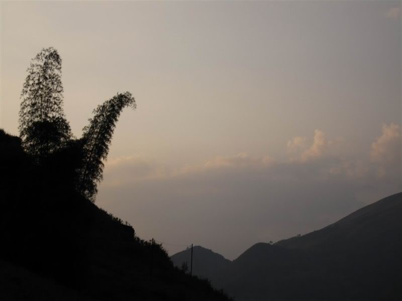 ResizeofIMG_0176.jpg