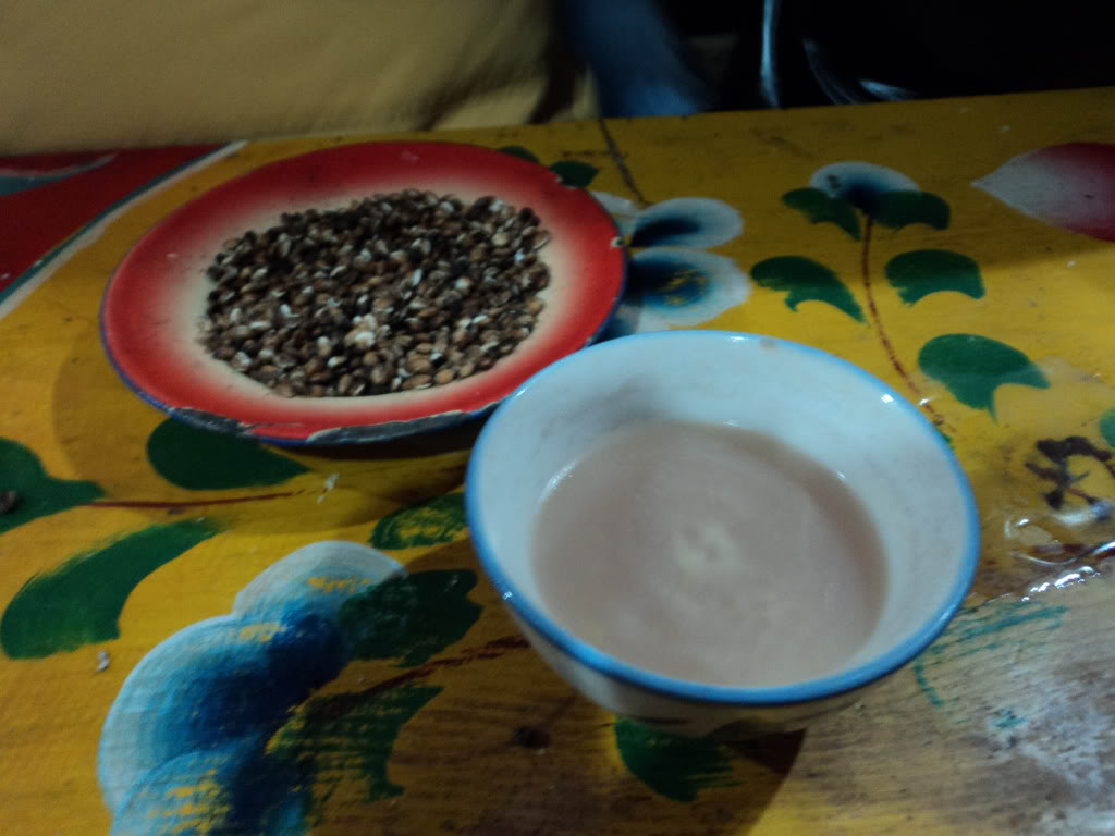 DSC01946-1.jpg