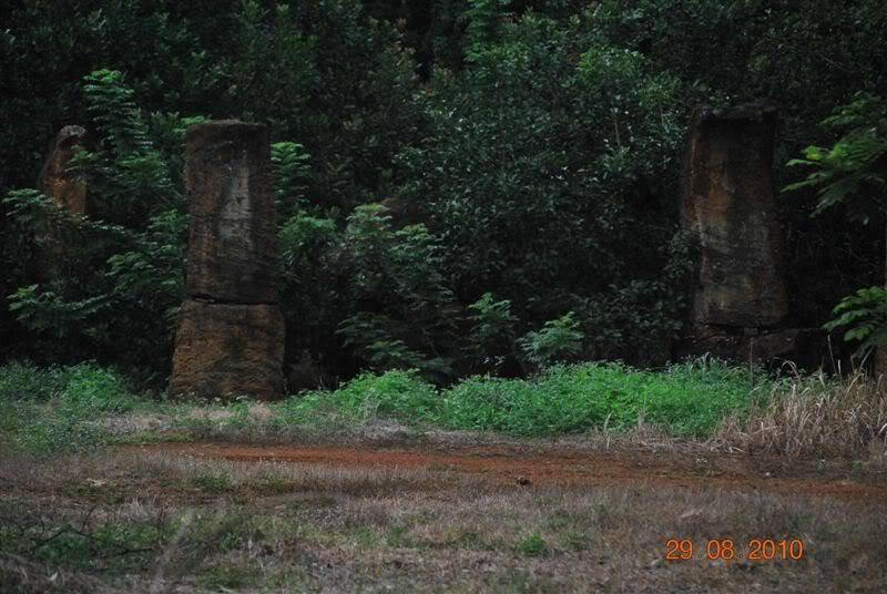 DSC_1697.jpg