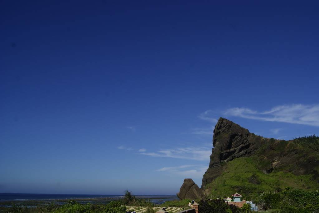 _DSC8506.jpg