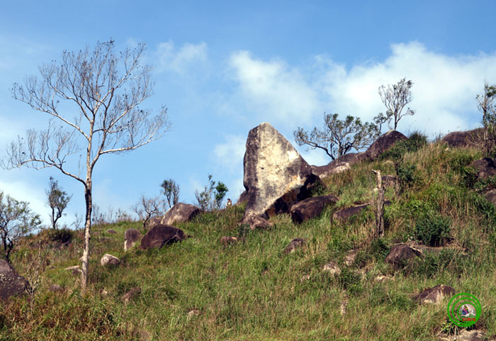 nc10_1.jpg