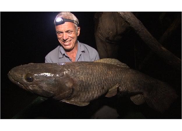 wolf-fish-625x450.jpg