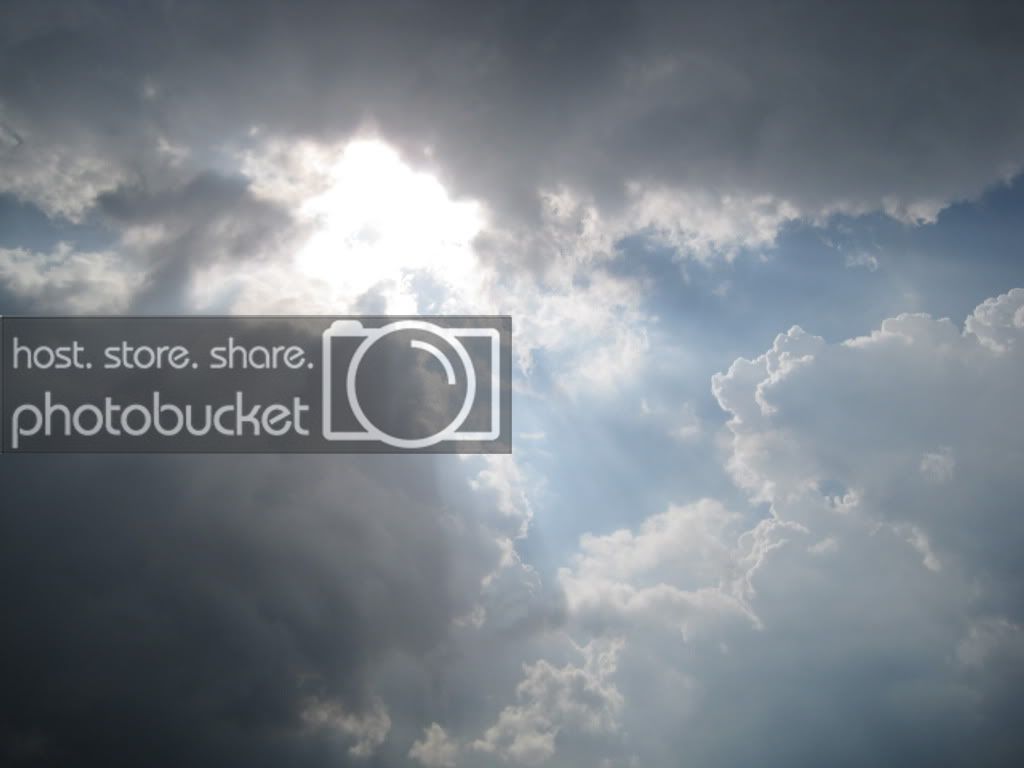 QL55QL28221.jpg